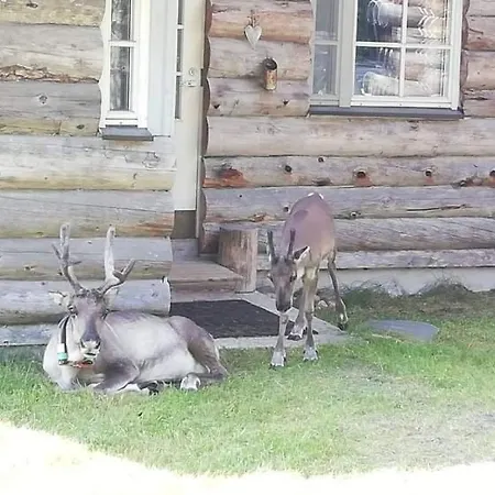 Koppelon Kieppi Rukatunturi
