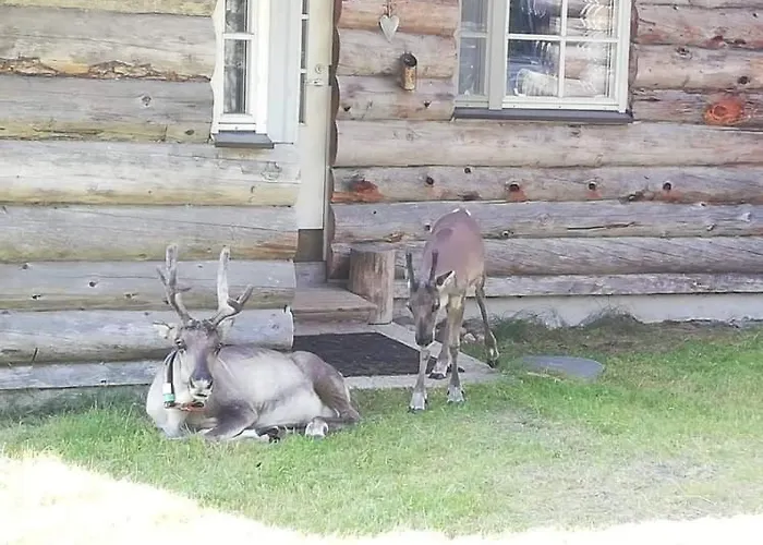 Koppelon Kieppi Ruka